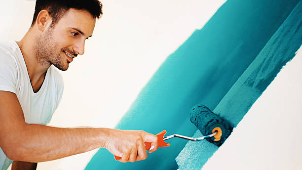 Trusted Williston Park, NY Mold Removal Experts